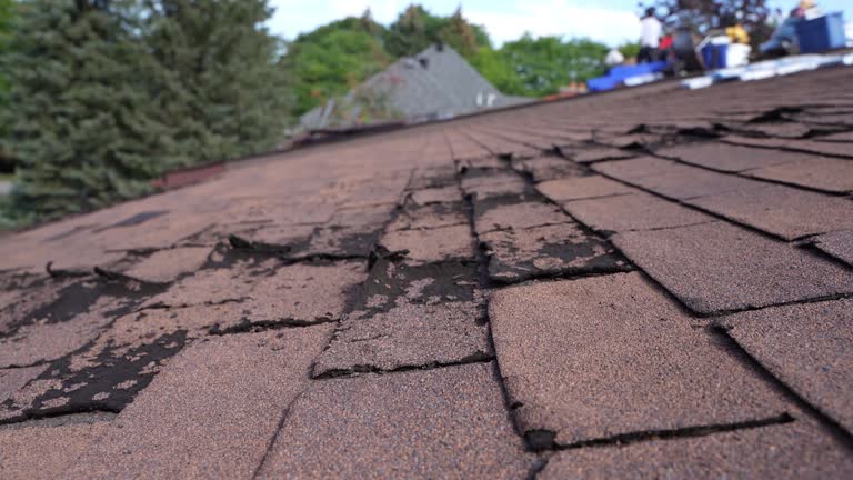 Best Gutter Installation and Repair  in March Ar, CA